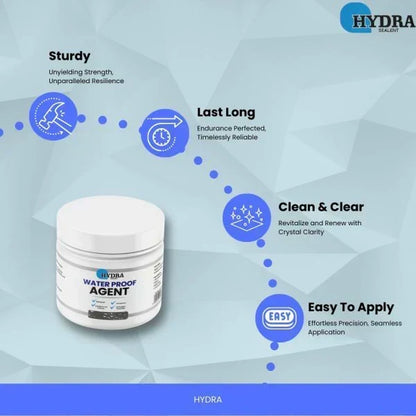 Hydra Anti-Leakage Waterproof Agent With Brush | 100% Original